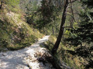 Ein schöner, mäßig ansteigender Weg führt von Monte zum Rifugio Malga Craun.
