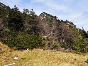 Ziel ist der Rocca Piana, der südlichste Berg des Mendelkamms.